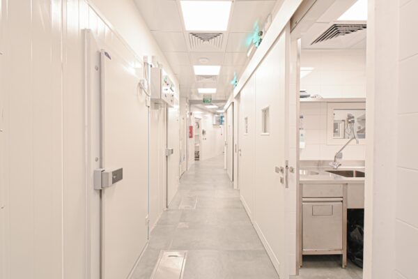 Cold Storages & Doors - Image 3